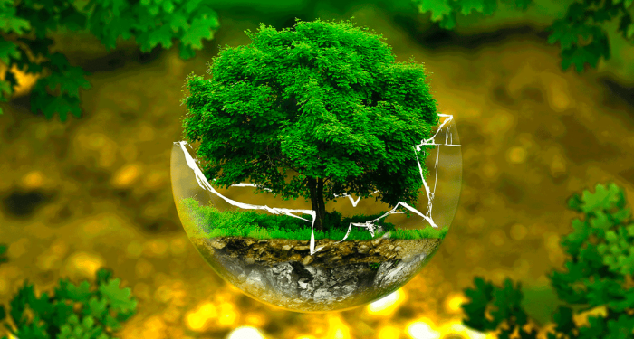detergenti ecolabel